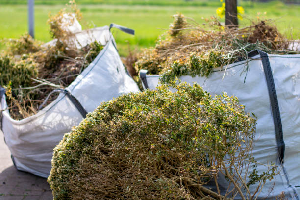 Best Electronics Removal Services  in Savage, MN